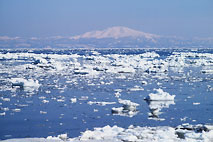 オホーツク海の流氷