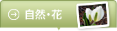 自然・花欄ボタン